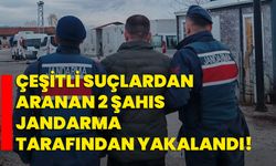 Çeşitli suçlardan aranan 2 şahıs jandarma tarafından yakalandı!