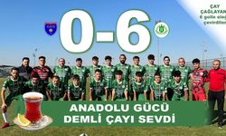 Anadolu Gücü Demli Çayı Sevdi