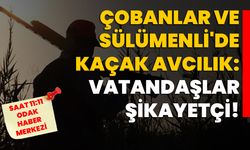 Çobanlar ve Sülümenli'de Kaçak Avcılık: Vatandaşlar Şikayetçi!