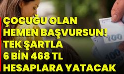 Çocuğu Olan Hemen Başvursun! Tek Şartla 6 Bin 468 TL Hesaplara Yatacak