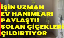 İşin uzmanı ev hanımları paylaştı! Solan çiçekleri çıldırtıyor