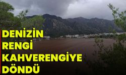 Denizin Rengi Kahverengiye Döndü