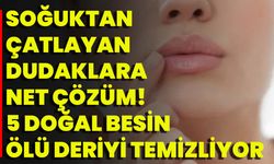 Soğuktan Çatlayan Dudaklara Net Çözüm! 5 Doğal Besin Ölü Deriyi Temizliyor