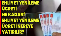 Ehliyet yenileme ücreti ne kadar? Ehliyet yenileme ücreti nereye yatırılır?