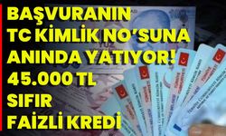 Başvuranın TC Kimlik NO’suna Anında Yatıyor! 45.000 TL Sıfır Faizli Kredi