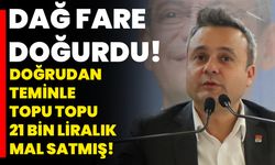 Dağ fare doğurdu: Doğrudan teminle topu topu 21 bin liralık mal satmış!