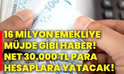 16 milyon emekliye müjde gibi haber! Net 30.000 TL para hesaplara yatacak!