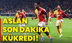 Aslan son dakika kükredi!