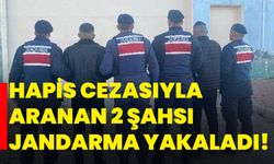 Hapis cezasıyla aranan 2 şahsı jandarma yakaladı!