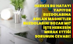 Herkes bu hatayı yapıyor! Buzdolabına asılan magnetler buzdolabını bozar mı? İşte herkesin merak ettiği sorunun cevabı