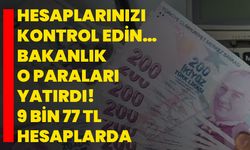 Hesaplarınızı kontrol edin… Bakanlık o paraları yatırdı! 9 Bin 77 TL hesaplarda