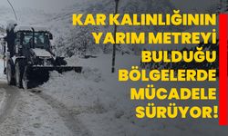 Kar kalınlığının yarım metreyi bulduğu bölgelerde mücadele sürüyor!