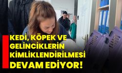 Kedi, köpek ve gelinciklerin kimliklendirilmesi devam ediyor!