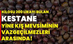 Kilosu 200 lirayı bulan kestane yine kış mevsiminin vazgeçilmezleri arasında!