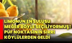 Limonun en sulusu meğer böyle seçiliyormuş! Püf noktasının sırrı köylülerden geldi