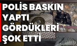 Polis Baskın Yaptı Gördükleri Şok Etti