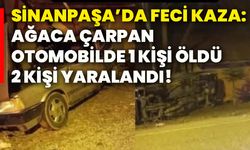 Sinanpaşa’da feci kaza: Ağaca çarpan otomobilde 1 kişi öldü, 2 kişi yaralandı!