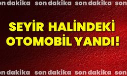 Seyir halindeki otomobil yandı!