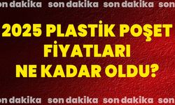 2025 Plastik Poşet Fiyatları Ne Kadar Oldu?