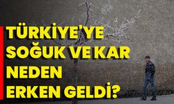 Türkiye'ye Soğuk Ve Kar Neden Erken Geldi?