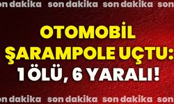 Otomobil şarampole uçtu: 1 ölü, 6 yaralı!