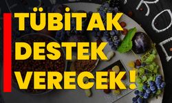 TÜBİTAK destek verecek!