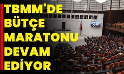 TBMM'de  Bütçe Maratonu Devam Ediyor