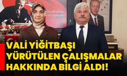 Vali Yiğitbaşı yürütülen çalışmalar hakkında bilgi aldı!