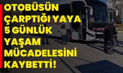 Otobüsün çarptığı yaya 5 günlük yaşam mücadelesini kaybetti!