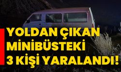 Yoldan çıkan minibüsteki 3 kişi yaralandı!