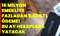 16 Milyon emekliye fazladan 5.000 TL ödeme! Bu ay hesaplara yatacak