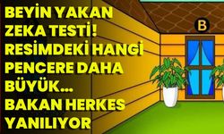 Beyin Yakan Zeka Testi! Resimdeki Hangi Pencere Daha Büyük… Bakan Herkes Yanılıyor