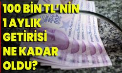 100 Bin TL’nin 1 Aylık Getirisi Ne Kadar Oldu?