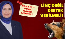 LİNÇ DEĞİL, DESTEK VERİLMELİ!