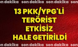 13 PKK/YPG'li terörist etkisiz hale getirildi