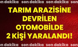 Tarım arazisine devrilen otomobilde 2 kişi yaralandı!