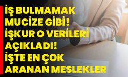 İş bulmamak mucize gibi! İŞKUR o verileri açıkladı! İşte en çok aranan meslekler