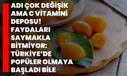 Adı çok değişik ama C vitamini deposu! Faydaları saymakla bitmiyor: Türkiye’de popüler olmaya başladı bile