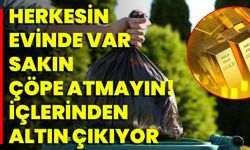 Herkesin Evinde Var Sakın Çöpe Atmayın! İçlerinden Altın Çıkıyor