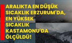 Aralıkta en düşük sıcaklık Erzurum'da, en yüksek sıcaklık Kastamonu'da ölçüldü!