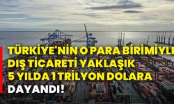 Türkiye'nin o para birimiyle dış ticareti yaklaşık 5 yılda 1 trilyon dolara dayandı!