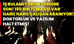 İş bulamıyorum derdine son! 150 bin TL maaşı var harıl harıl çalışan aranıyor! Doktorluk ve yazılım halt etmiş!