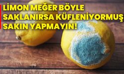 Limon meğer böyle saklanırsa küfleniyormuş! Sakın yapmayın!