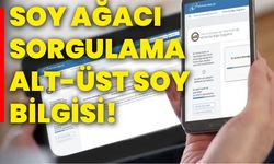 Soy ağacı sorgulama, alt-üst soy bilgisi!