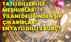 Tatlı dilleri ile meşhurlar! Yılanı deliğinden şıp çıkarırlar! En tatlı dilli 3 burç!