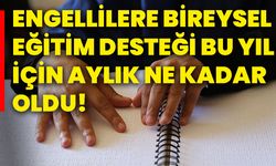 Engellilere bireysel eğitim desteği bu yıl için aylık ne kadar oldu!