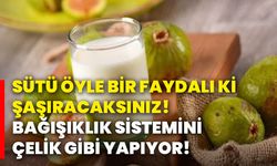 Sütü öyle bir faydalı ki şaşıracaksınız! Bağışıklık sistemini çelik gibi yapıyor!