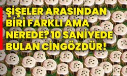 Şişeler arasından biri farklı ama nerede? 10 saniyede bulan cingözdür!