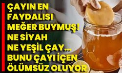 Çayın En Faydalısı Meğer Buymuş! Ne Siyah Ne Yeşil Çay… Bunu Çayı İçen Ölümsüz Oluyor