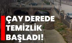 Çay Derede temizlik başladı!